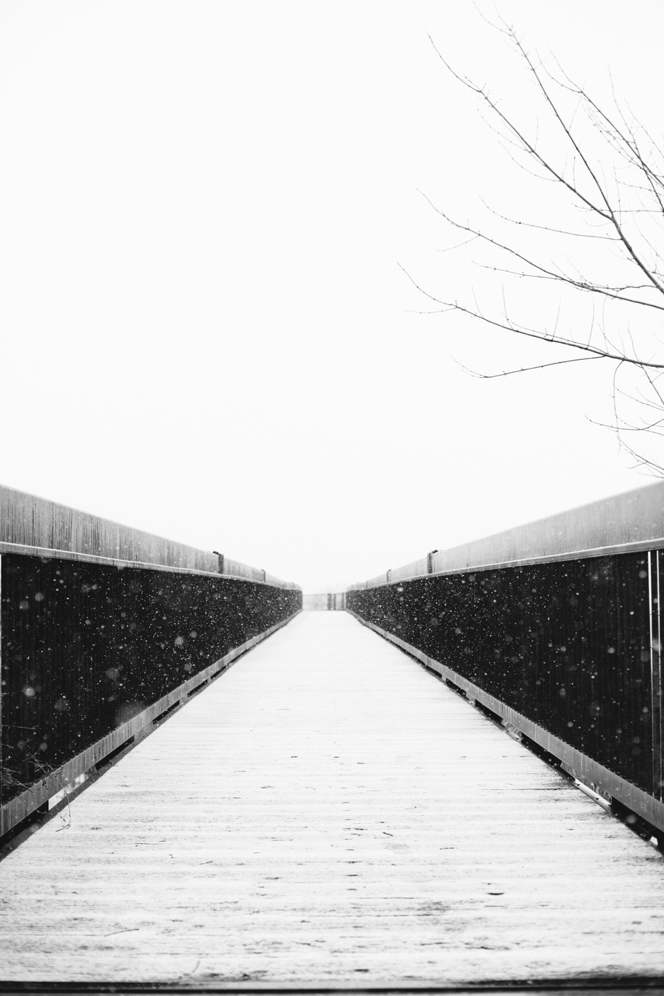 moonrise-snow-bridge